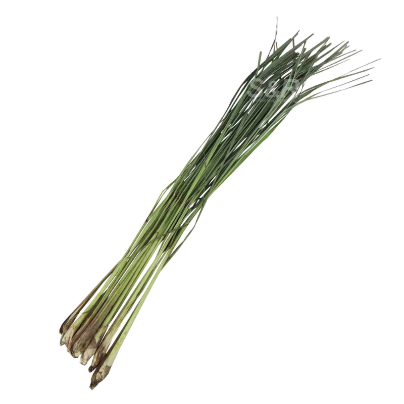 MFC Lemongrass approx. 600g MFC Lemongrass approx. 600g